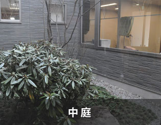 中庭